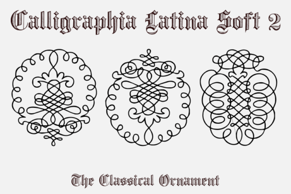 Calligraphia Latina Soft 2: A Strategic Asset for Neoclassical Branding