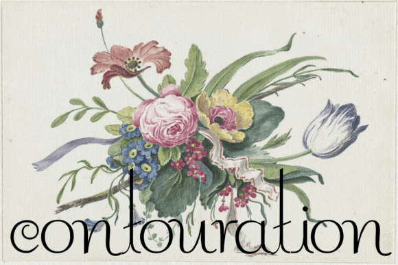 Contouration: Evaluating a Bold Retro Display Font for Modern Design Projects