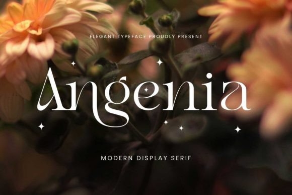 Evaluating Angenia: A Modern Serif for Contemporary Design