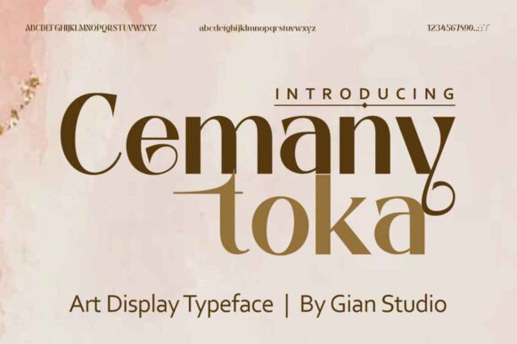 Integrating Cemany Toka into High-End Design Workflows