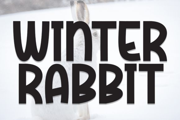 Winter Rabbit: A Practical Guide to Using Bold, Rounded Display Typography